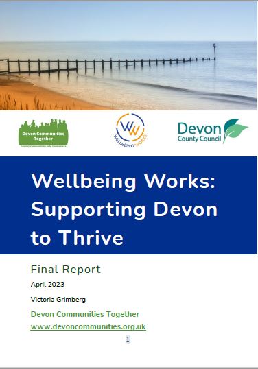 Wellbeing Works Final Report 
