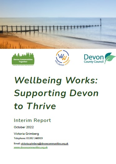 Wellbeing Works report front cover