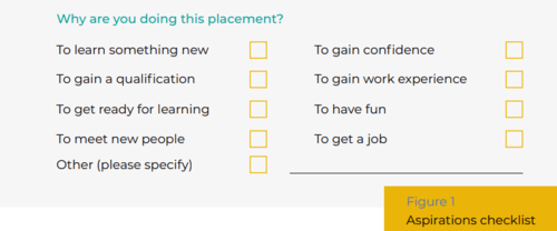 A list of potential reasons for taking a placement - e.g. to meet new people