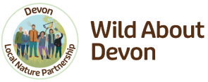 wild about devon