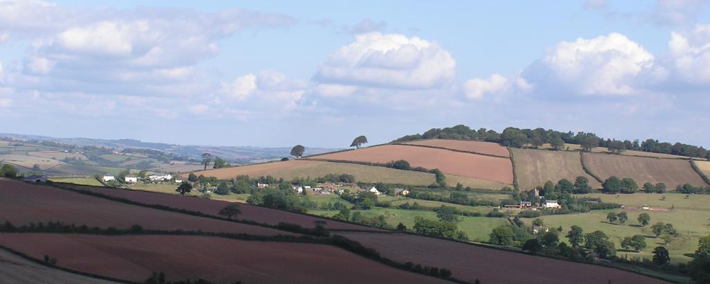 Fields and sky