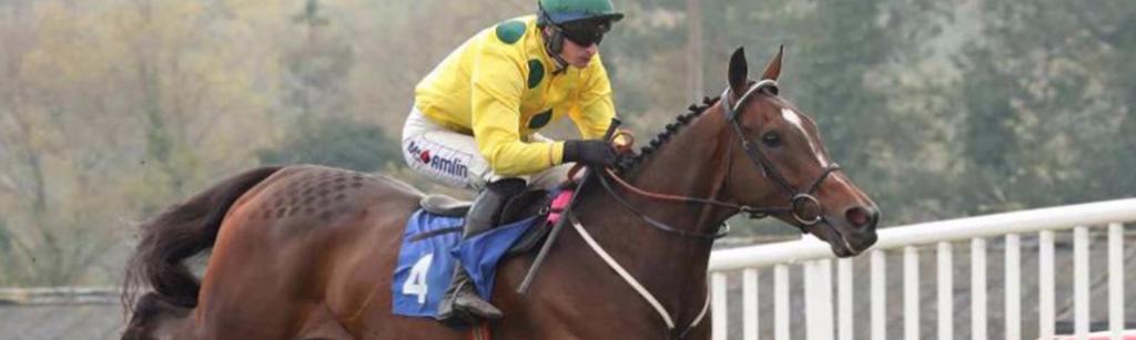 Horse at Exeter Racecourse