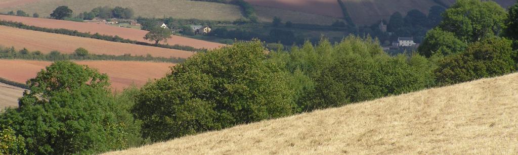 Devon landscape