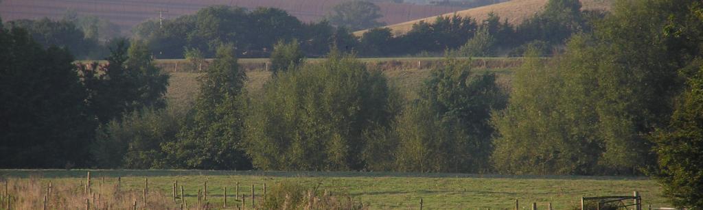 Mid Devon view of fields