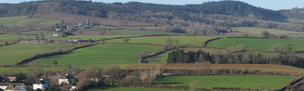 rural landscape, fields and houses
