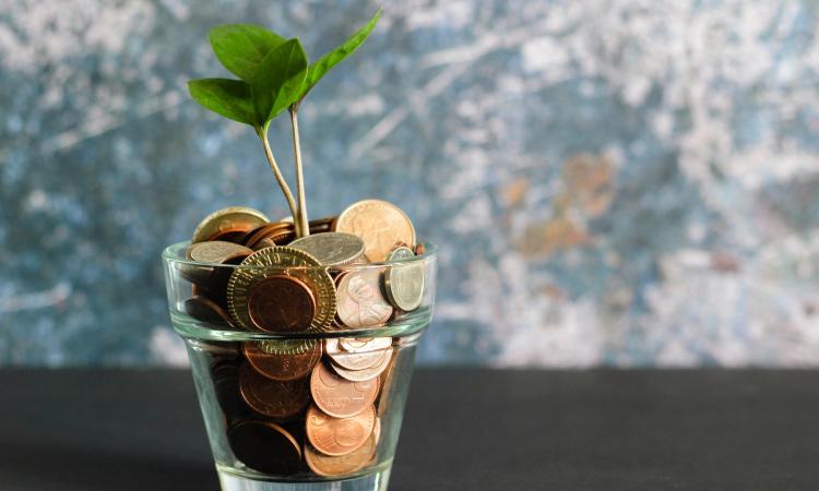 Money tree