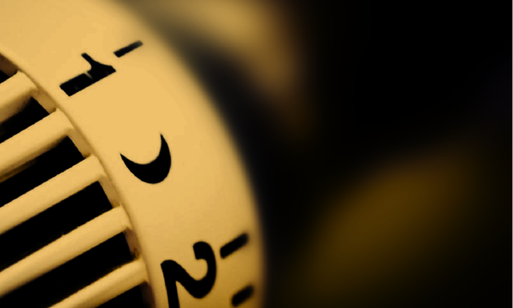 thermostat in focus