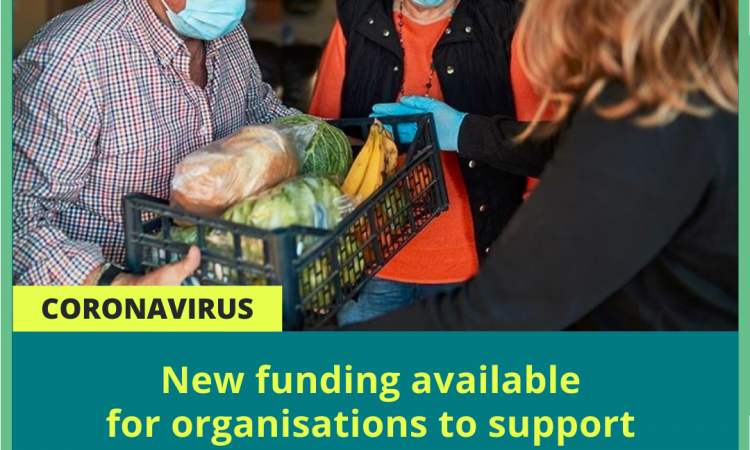 devon self isolation grant
