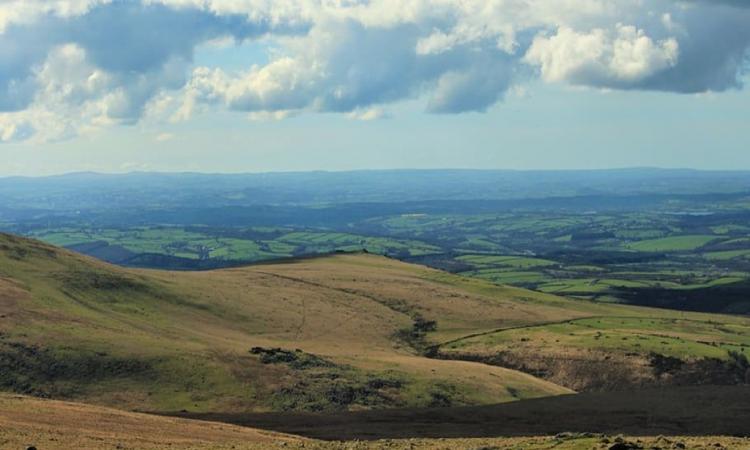 Devon Landscape