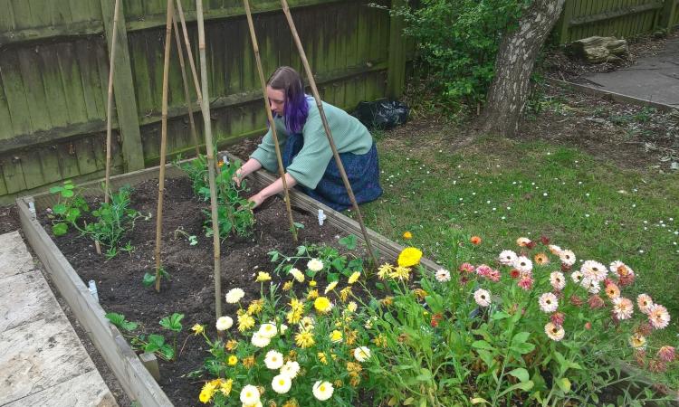 Allotment