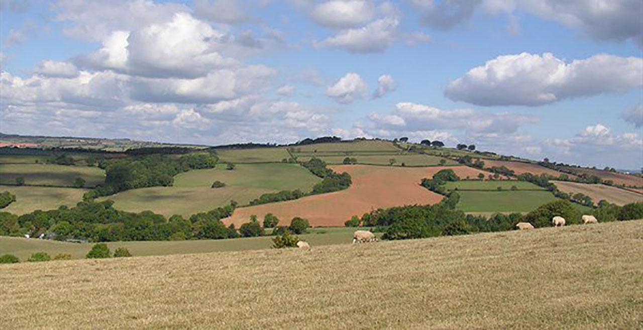 Rural landscape