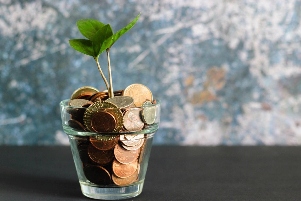 Money tree