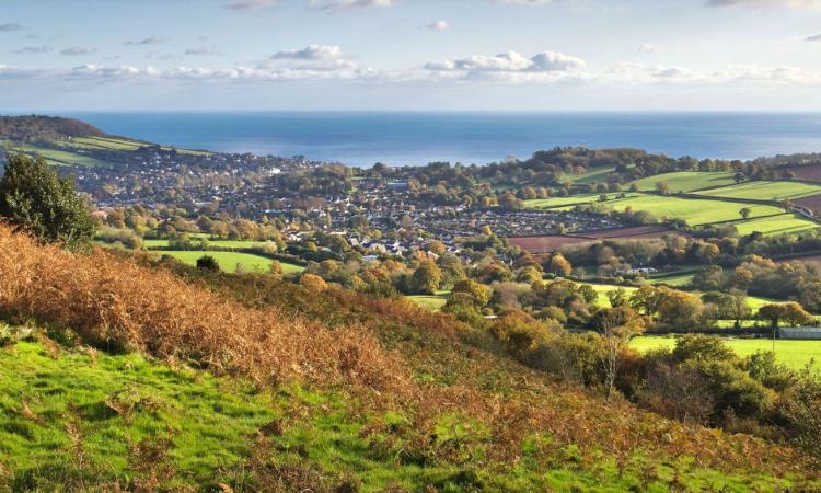 East Devon View (Alison Day)