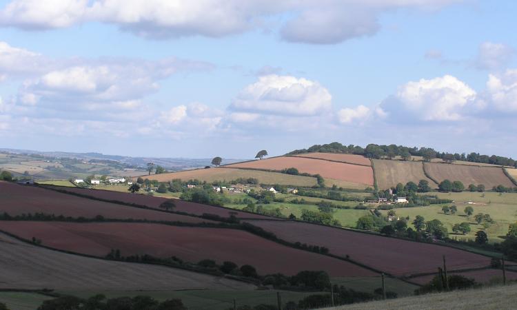 Devon landscape