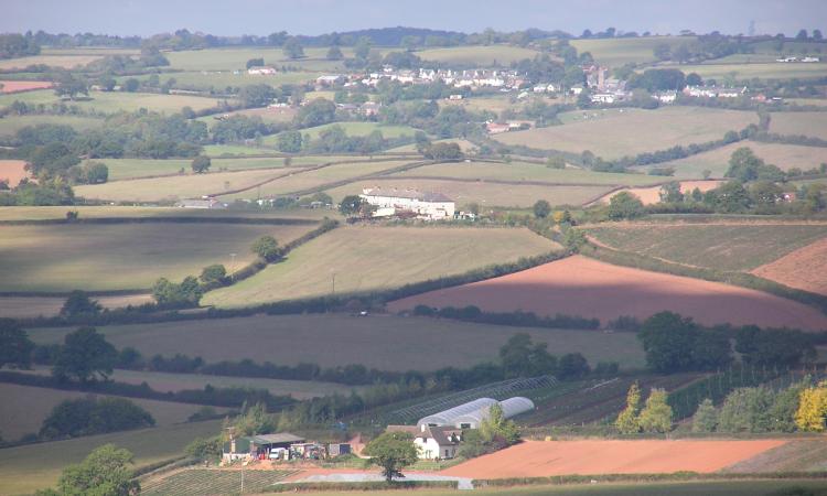 landscape showing a farm, fields and houses